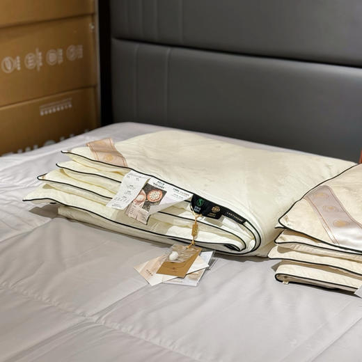 太湖100%蚕丝被 商品图5