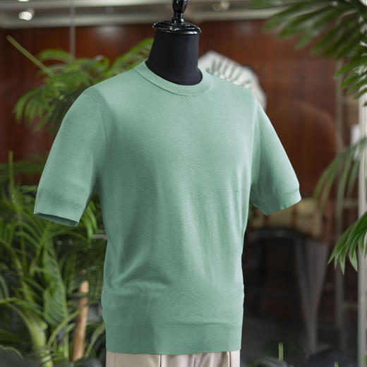 25夏季新款男士纯羊毛/羊绒 POLO衫T恤  多款/多色可选——不退不换 商品图9