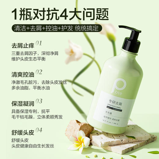 热卖！头皮清洁大师！【超值2瓶装赠2支护手霜】pote柏缇茶树去屑洗发露 蓬松控油 500ml*2瓶 商品图1