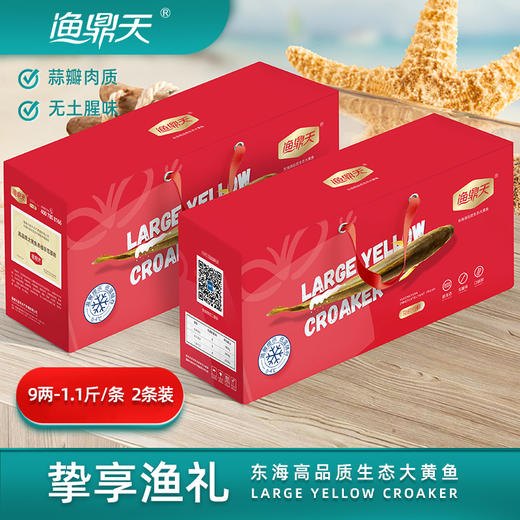 【缴费有礼】渔鼎天冰鲜野化大黄鱼9两-1.1斤/条*2 商品图1