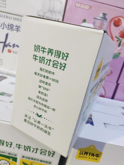 认养一头牛纯牛奶一箱（拼团） 商品图4