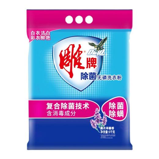 C雕牌5kg除菌无磷洗衣粉 商品图0