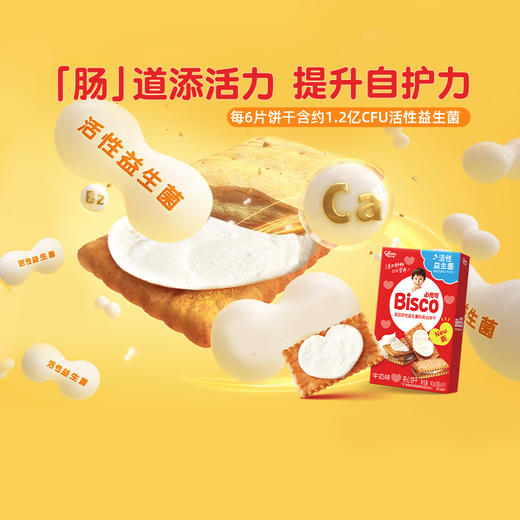 活性益生菌饼干必思可Bisco 牛奶味/草莓味/巧克力味可选 60G*1盒 商品图5