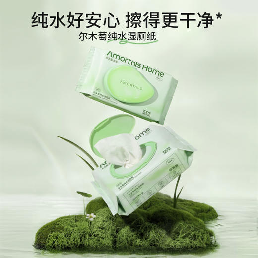 尔木萄纯水湿厕纸 商品图0