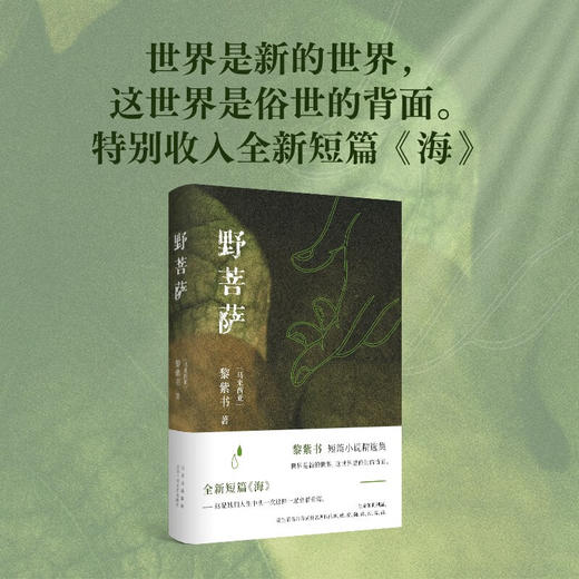 野菩萨 黎紫书短篇小说精选集 特别收入全新短篇《海》 商品图3
