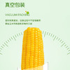 【北大荒】鲜食玉米 250g*8 根/箱 商品缩略图2