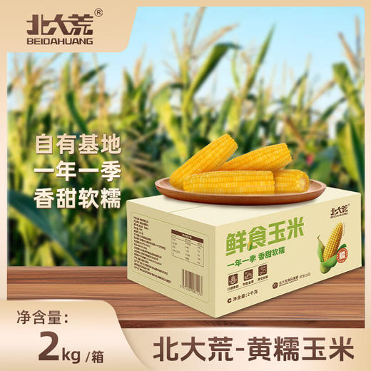 【北大荒】鲜食玉米 250g*8 根/箱 商品图4