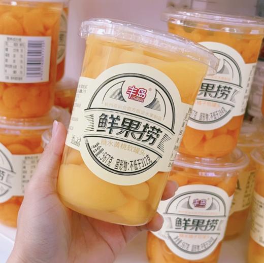 丰岛鲜果捞567g*12 商品图1