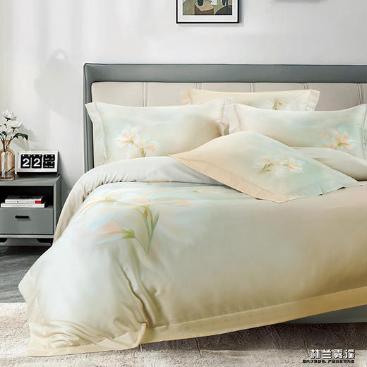 鑫缘 天丝棉数码印花四件套 DXC5418 商品图6