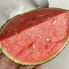 小吊瓜 冰淇淋小西瓜  红肉 商品缩略图0