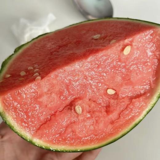 小吊瓜 冰淇淋小西瓜  红肉 商品图0
