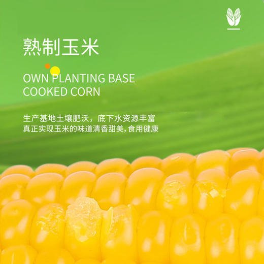 【北大荒】鲜食玉米 250g*8 根/箱 商品图1