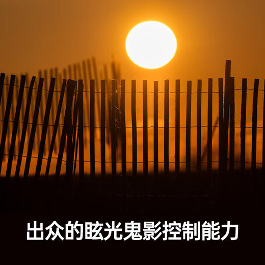 （联系客服享优惠价+赠品）适马（SIGMA）500mm F5.6 DG DN OS ｜Sports 全画幅 超远摄定焦镜头 打鸟拍荷花 商品图3