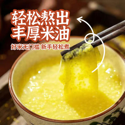 探寻初味-敖汉 金苗黄小米  5斤 商品图4