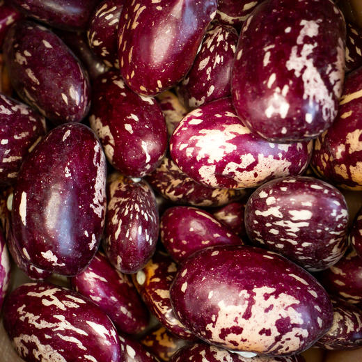 【食品】云南金丝豆新货农家红花豆孔雀豆紫花芸豆老品种豆子500g/袋 商品图5