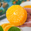 湖北秭归伦晚脐橙8-9斤大果彩箱装【分仓直发，72小时发货，周末节假日不发货】 商品缩略图4
