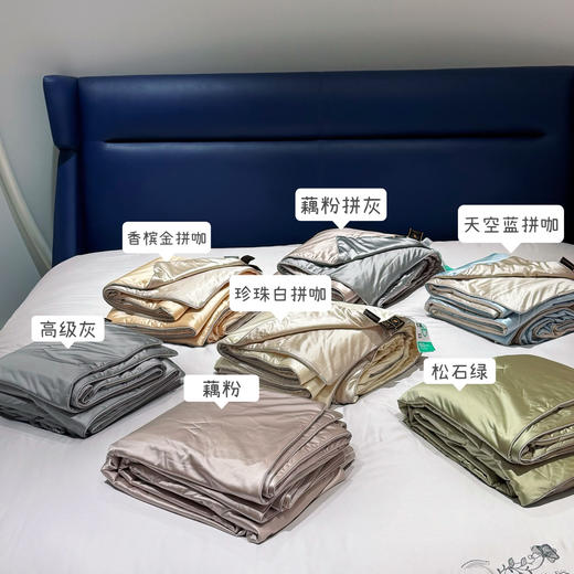 MOONSHALL-贵妇水光蚕丝被 商品图0