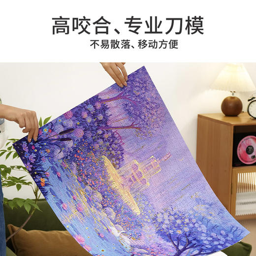 TOi图益-潮玩拼图系列-金色许愿池-1000片-分包款 商品图1