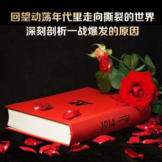 1914：世界终结之年 商品图3