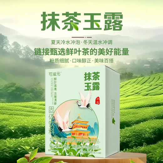 【今日福利丨小植心选】【拍一发三】抹 茶 玉 露 商品图5