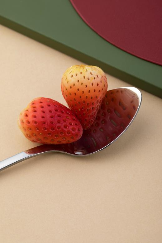 茶花甄享不锈钢长柄冰勺 商品图9