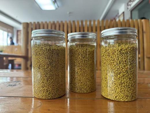 【油菜花粉 三瓶 （每瓶200克 ）男人能量提升的呵护品】 商品图3