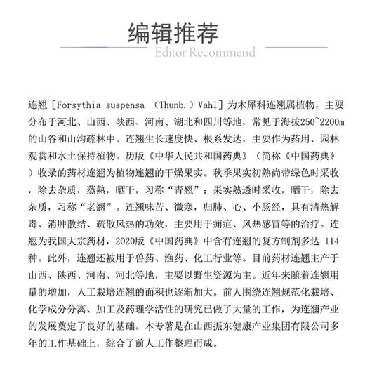 中国连翘 李安平 崔浪军主编 介绍了连翘种质资源特征 易混淆品特征 资源分布和适宜种植区规划 9787521451573中国医药科技出版社 商品图2