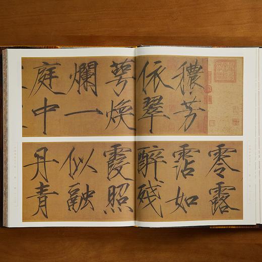 《中国书法五千年》| 一套书纵跨5000年，集齐中国历朝历代300+传世墨宝，220+位文化大家 商品图3