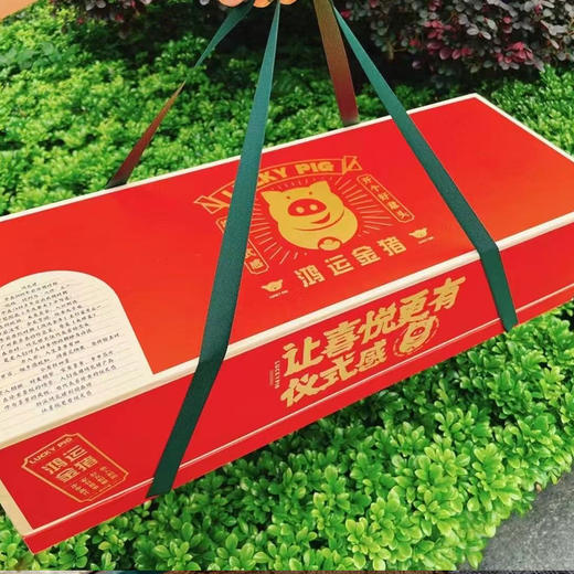 鲤妤·Lucky pig🐽 烧乳猪 商品图2