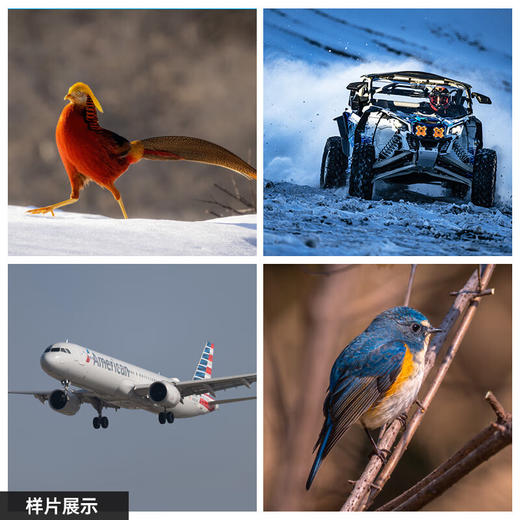 （联系客服享优惠价+赠品）适马（SIGMA）500mm F5.6 DG DN OS ｜Sports 全画幅 超远摄定焦镜头 打鸟拍荷花 商品图6