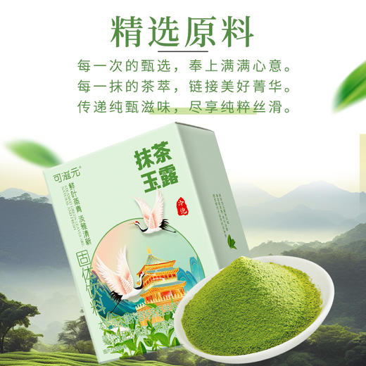 【今日福利丨小植心选】【拍一发三】抹 茶 玉 露 商品图2