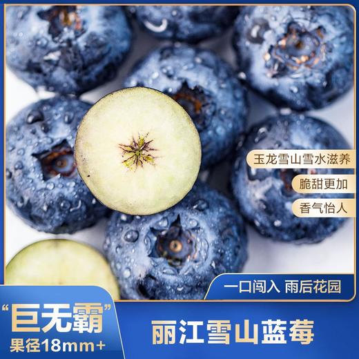 雪山恬-丽江雪山蓝莓“巨无霸”6盒(125g/盒,果径18mm+) 商品图0