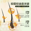 热卖！头皮清洁大师！【超值2瓶装赠2支护手霜】pote柏缇茶树去屑洗发露 蓬松控油 500ml*2瓶 商品缩略图3