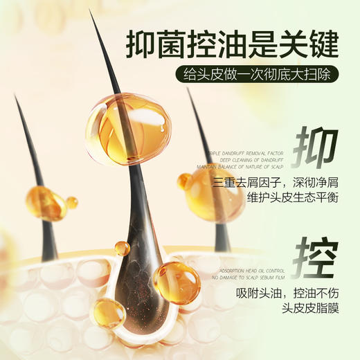 热卖！头皮清洁大师！【超值2瓶装赠2支护手霜】pote柏缇茶树去屑洗发露 蓬松控油 500ml*2瓶 商品图3