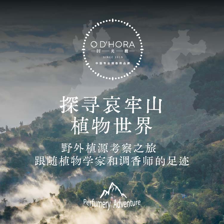 野外植源考察之旅 | 跟随植物学家和调香师的足迹