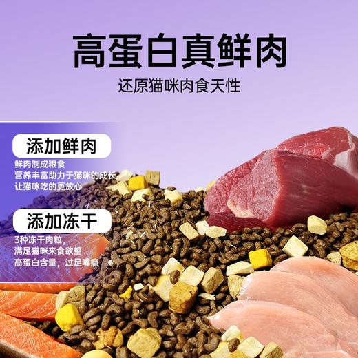热卖中 碧净雪猫粮 商品图2