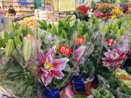 土培香水百合一盆 商品图1