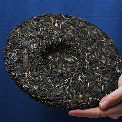 【茶王地系列】元昌号2025年景迈古树纯料357克生饼 商品图1