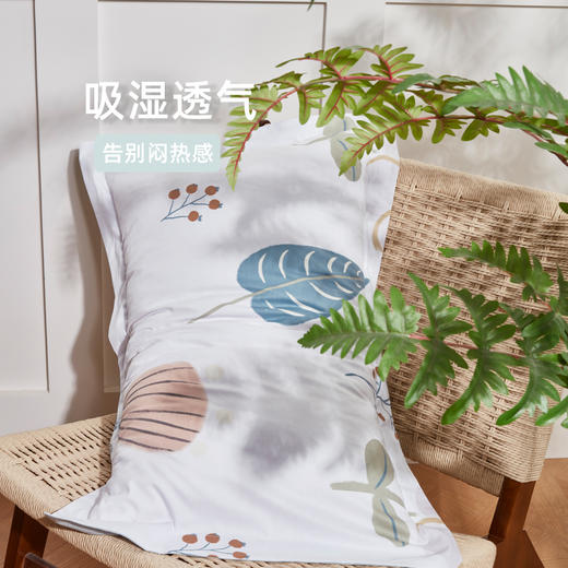 轻语飞扬全棉印花四件套 四季可用 商品图2