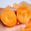 【分仓直发包邮】胡萝卜（带泥）3斤（ 单果约150g） 商品缩略图2