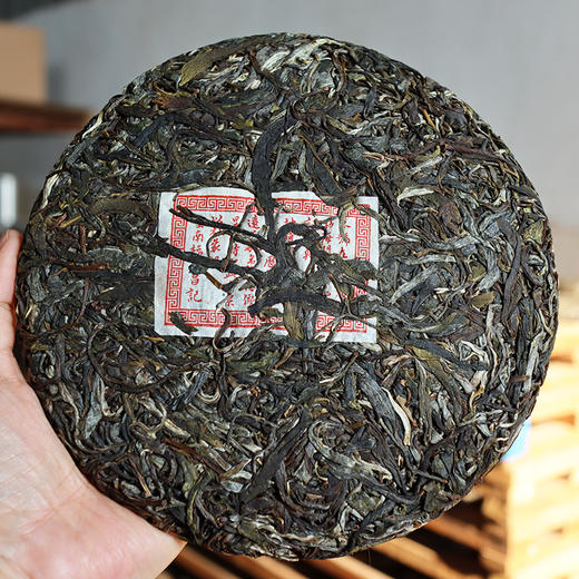 【茶王地系列】元昌号2025年薄荷塘古树纯料357克生饼 商品图1