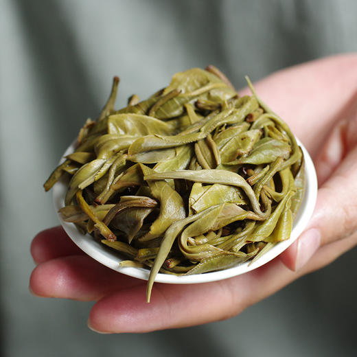 【茶王地系列】元昌号2025年景迈古树纯料357克生饼 商品图2