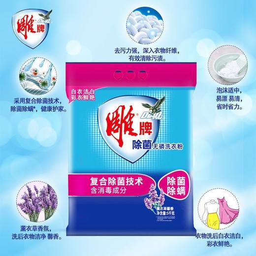 C雕牌5kg除菌无磷洗衣粉 商品图2