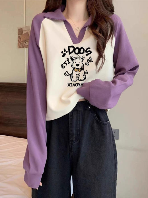 裁缝学苑AQ439插肩袖卫衣纸样女装新款撞色翻领上衣样板版型 商品图5