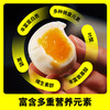 天然叶酸更营养【原种泰和乌鸡蛋】国家地理标志产品 科学精细化饲养 营养丰富 蛋黄细腻 口感软糯 可生食 孕妇宝宝放心食用 商品缩略图2
