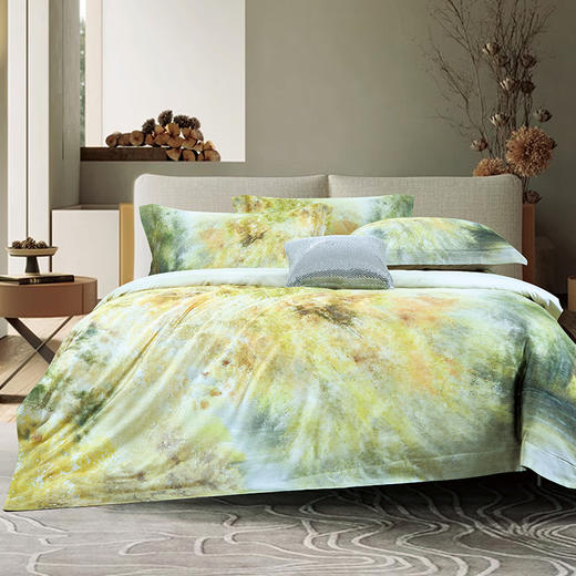 鑫缘 天丝棉数码印花四件套 DXC5418 商品图2