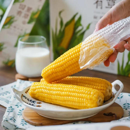 田里有草甜糯玉米真空袋装中通快递包邮下单从长春发货 商品图3