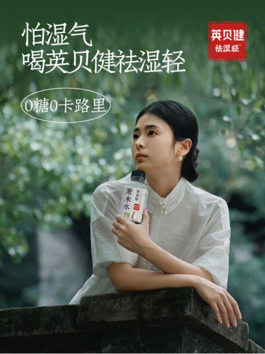 🔥英贝健「祛湿轻·薏米水」新品上市啦！！🛒 🌿五指毛桃薏米水 🌿冬瓜薏米水，两种口味换着喝😋 爱熬夜、重口油腻、早晨肿馒头脸、小肚腩…湿气重一定试试 商品图5
