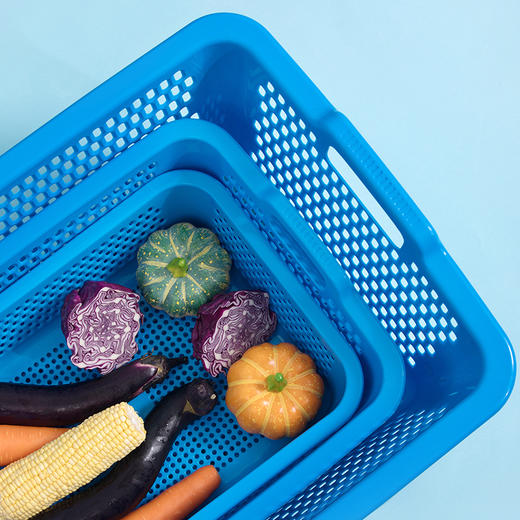 茶花乐惠6号方筛 商品图2