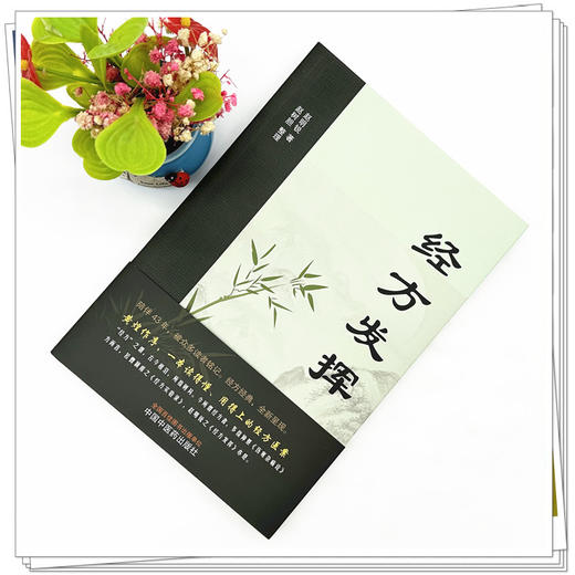 经方发挥 赵明锐 著 赵树胆 整理 中国中医药出版社 黄煌推荐 伤寒论 金匮要略 131例医案临床40首伤寒杂病论 书籍 商品图1